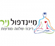 MindfulNir Logo